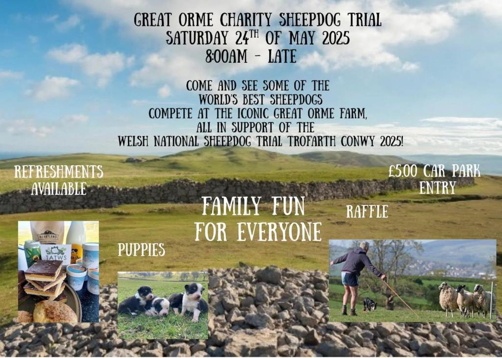 Charity Sheepdog Trial on the Great Orme – 24th&nbsp;May
