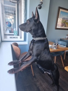 China, known as “Security” at Min y Don Llandudno.